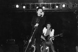 Golden Earring show photo Amsterdam - Jaap Eden hal unknown photographer